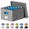 DYWMM File Organizer Collapsible Storage Box for Office File Box with Lids Document Organizer for Office and Home Easy Slide Durable Hanging File Box Gray