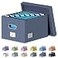 DYWMM File Organizer Collapsible Storage Box for Office File Box with Lids Document Organizer for Office and Home Easy Slide Durable Hanging File Box Navy Blue