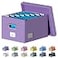DYWMM File Organizer Collapsible Storage Box for Office File Box with Lids Document Organizer for Office and Home Easy Slide Durable Hanging File Box Purple