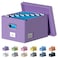 DYWMM File Organizer Collapsible Storage Box for Office File Box with Lids Document Organizer for Office and Home Easy Slide Durable Hanging File Box Purple