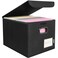 BALEINE File Organizer Box with Lid Collapsible File Folder Organizer with Plastic Slide Hanging File Folder Box for Office Document Storage 1 Pack Black