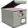 BALEINE File Organizer Box with Lid Collapsible File Folder Organizer with Plastic Slide Hanging File Folder Box for Office Document Storage 1 Pack Grey