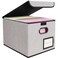 BALEINE File Organizer Box with Lid Collapsible File Folder Organizer with Plastic Slide Hanging File Folder Box for Office Document Storage 1 Pack Beige