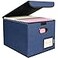 BALEINE File Organizer Box with Lid Collapsible File Folder Organizer with Plastic Slide Hanging File Folder Box for Office Document Storage 1 Pack Blue