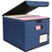 BALEINE File Organizer Box with Lid Collapsible File Folder Organizer with Plastic Slide Hanging File Folder Box for Office Document Storage 1 Pack Blue