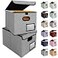 BALEINE File Organizer Box with Lid Collapsible File Folder Organizer with Plastic Slide Hanging File Folder Box for Office Document Storage 2 Pack Grey