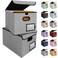 BALEINE File Organizer Box with Lid Collapsible File Folder Organizer with Plastic Slide Hanging File Folder Box for Office Document Storage 2 Pack Grey