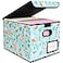 BALEINE File Organizer Box with Lid Collapsible File Folder Organizer with Plastic Slide Hanging File Folder Box for Office Document Storage 1 Pack Spring Stroll