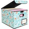 BALEINE File Organizer Box with Lid Collapsible File Folder Organizer with Plastic Slide Hanging File Folder Box for Office Document Storage 1 Pack Spring Stroll