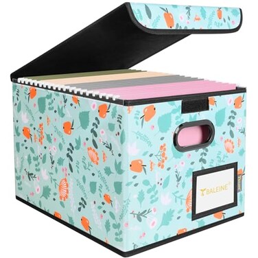 BALEINE File Organizer Box with Lid Collapsible File Folder Organizer with Plastic Slide Hanging File Folder Box for Office Document Storage 1 Pack Spring Stroll