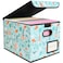 BALEINE File Organizer Box with Lid Collapsible File Folder Organizer with Plastic Slide Hanging File Folder Box for Office Document Storage 1 Pack Spring Stroll