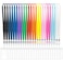 BESARME 24 Pack Lanyards for ID Badges Cruise Lanyard for Ship Cards with Waterproof ID Badge Holder Cruise Essentials 2025 12 Colors