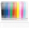 BESARME 24 Pack Lanyards for ID Badges Cruise Lanyard for Ship Cards with Waterproof ID Badge Holder Cruise Essentials 2025 12 Colors