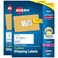 Avery Printable Shipping Labels with Sure Feed 2 x 4 Customizable Stickers White 5000 Blank Mailing Labels Great for Mailing Shipping and More 2Pack of 5963