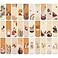 Sepamoon 45 Pcs Boho Magnetic Bookmarks Boho Mid Century Abstract Leaf Magnetic Book Marks Minimalist Line Aesthetic Burnt Orange Art Bookmark Modern Geometric Sun Page Markers Clip for School Office