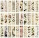 Jianbenmu Vintage Natural Style Butterfly Flower Plant Bookmarks 30PCS Gentle Whispers