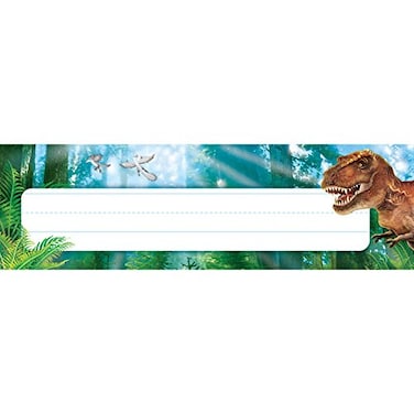 Trend Enterprises Discovering Dinosaurs Desk Toppers Name Plates 36 Piece 278 x 912