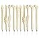 MXXGMYJ Creative Novelty Bone Shape Ink Ballpoint Pens Finger Pen Nurse Doctor Pen Stationery Gift Crazy Student Gift Pack of 20