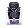 Jacques Herbin J Herbin 1798 Anniversary Inks Silver Sheen 50 ml Bottled Amethyste de LOural Rich Deep Purple Ink