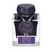 Jacques Herbin J Herbin 1798 Anniversary Inks Silver Sheen 50 ml Bottled Amethyste de LOural Rich Deep Purple Ink