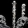 Lanxivi Jinhao Black Snake Fountain Pen Fine Nib with Skull Head Solid Metal