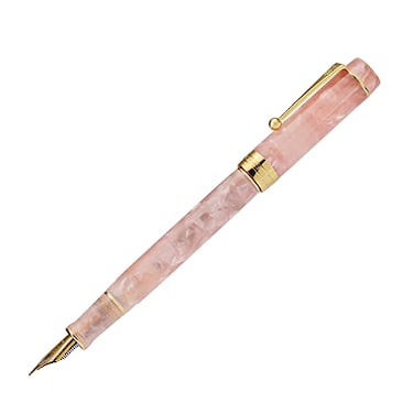 Lanxivi Jinhao 100 Classic Fountain Pen Pink Medium Nib with Converter and Pen Case Set