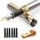 Dryden Designs Fountain Pen Medium Nib 05mm Includes 6 Ink Cartridges 3 Black 3 Blue Notebook Clips and Ink Refill Converter Silver