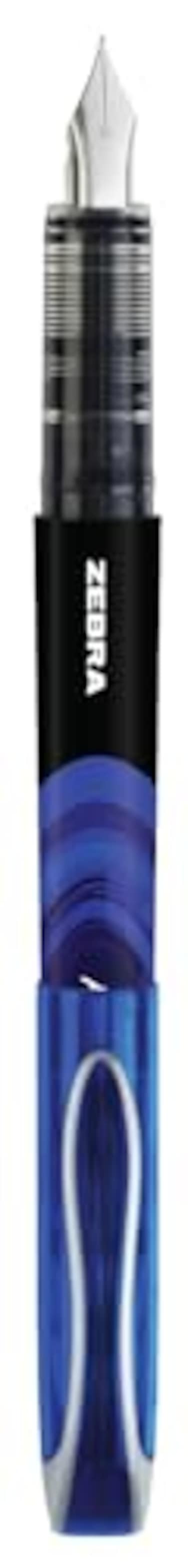 Zebra Pen Zebra Fuente Disposable Fountain Pen Blue Ink Pack of 12