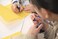 Lamy balloon lime transparent rollerball pen with plastic barrel selfspringing clip ergonomic grip zones in line width B T 11 rollerball refill in blue