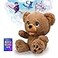 Plai Poe The AI Story Bear