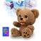 Plai Poe The AI Story Bear