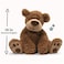 GUND Grahm Teddy Bear Premium Stuffed Animal for Ages 1 and Up Brown 18