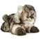 TigerHart Ricky The Maine Coon 16 Inch Stuffed Animal Plush
