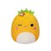 Squishmallows Tropical Mystery Squad 5Inch Mystery Pack Get 1 Plush Toy