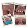 Fuggler Mini Rascals 9inch Assortment Series 1 Double Trouble Squidge Brown Long Pile by ZURU Funny Ugly Monster Plush Toy