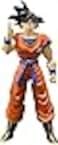 TAMASHII NATIONS Dragon Ball Z Son Goku A Saiyan Raised on Earth SHFiguarts Action Figure