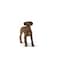 Schleich Farm World Animal Toys for Kids Rhodesian Ridgeback Figurine Ages 3