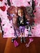 Monster High Sweet 1600 Clawdeen Wolf Doll