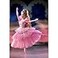 Mattel 2000 Flower Ballerina Barbie Doll from The Nutcracker