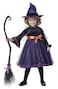 California Costumes Toddler Hocus Pocus Witch Costume 3T4T