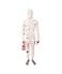 Morphsuits Mummy Kids Fancy Dress Costume size Large 446 120cm 137cm KPMUL