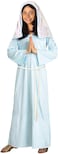 Rubies Childs Forum Biblical Times Mary Costume Medium for Themed Parties and Halloween
