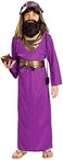 Rubies Forum Novelties Biblical Times Purple Wiseman Child Costume Large