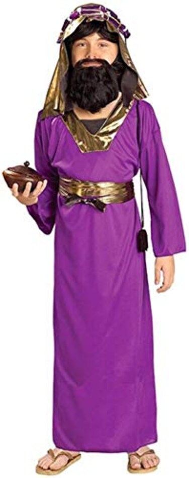 Rubies Forum Novelties Biblical Times Purple Wiseman Child Costume Large