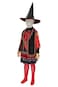 Taeyue Kids Girls Dani Dennison Costume Halloween Witch Cosplay Dress Suit with HatMedium Red