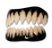 Dental Distortions Black Pennywise FX Fangs 20 Evil Clown Costume Teeth