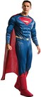 Rubies DC Justice League Superman Costume for Adults Mens Standard