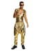 Rubies MC Gold Costume Pants for Adults Mens Standard