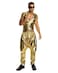 Rubies MC Gold Costume Pants for Adults Mens Standard