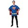 Rubies DC Comics Superheroes Superman Costume TShirt With Cape for Adults Mens Large